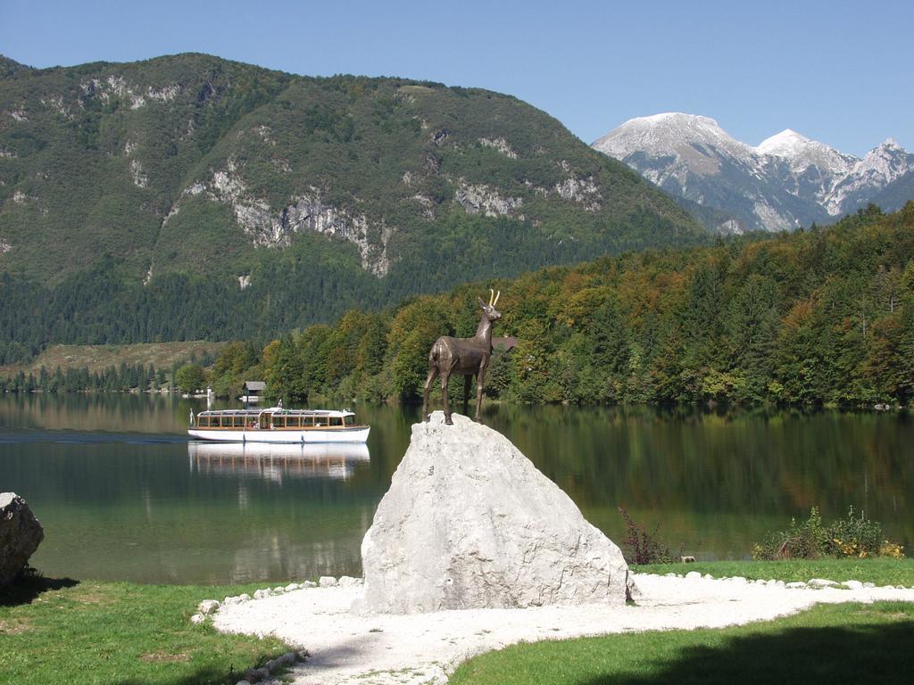 Apartments And Rooms Cerkovnik Bohinj Esterno foto