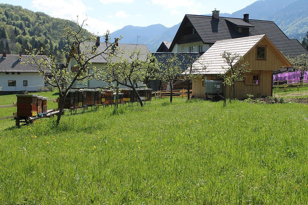 Apartments And Rooms Cerkovnik Bohinj Esterno foto